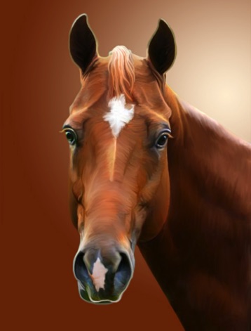 Horse