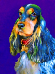 English Cocker Spaniel